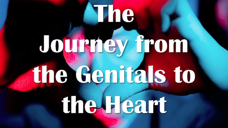 Journey from the Genitals to the Heart