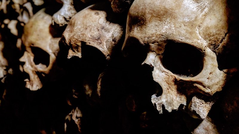 7 Steps to identify family skeletons