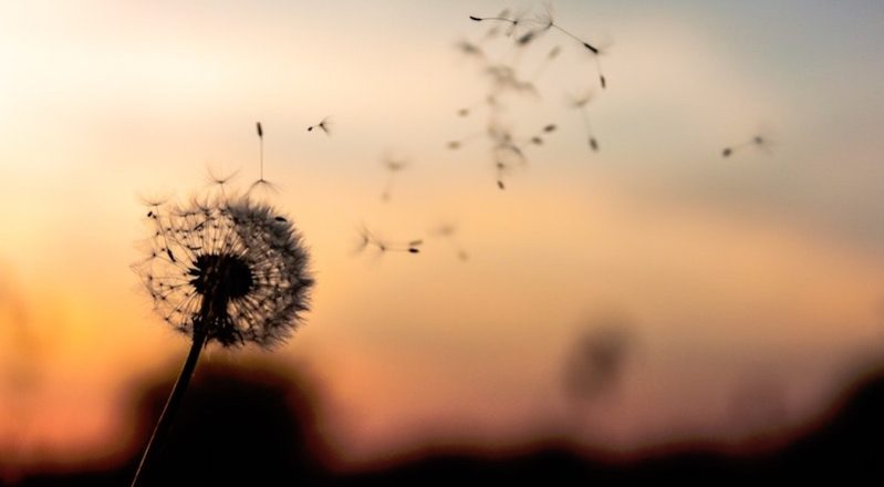 Releasing Unconscious Shame