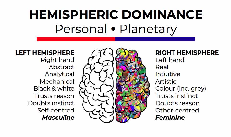 Patriarchal Operating System - Hemispheric dominance