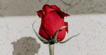 Double-whammy – the shame of lack of sexual experience