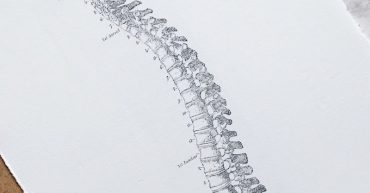 The spine of patriarchy – lack of inner authority