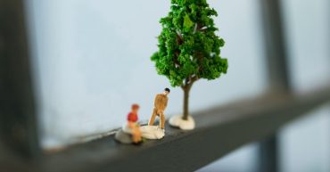 Ancestral trauma – zero emotional and sexual growth