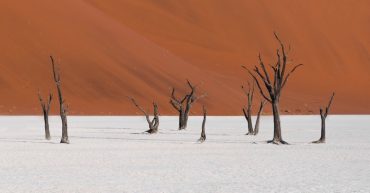 Ancestral trauma #6 – Fear of the desert and desertification