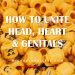 How to Unite Head, Heart & Genitals online course