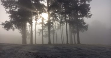 Clearing the unconscious – a framework for healing