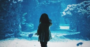 Our ‘inner child’ is the product of arrested development