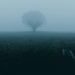 Isolation – the invisible prison of shame