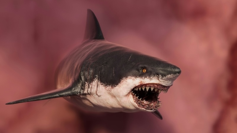 The closer we get to a trauma, the more it affects us