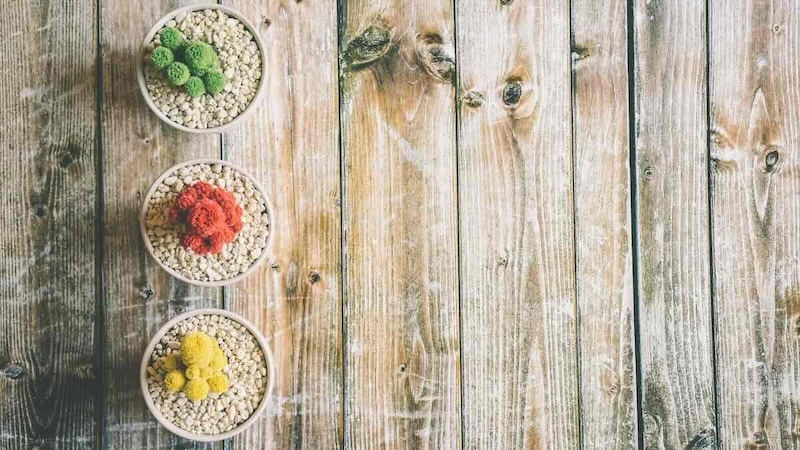 Humans are three-centred beings