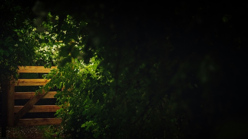 Unanswered genealogy questions – the secret garden in Italy