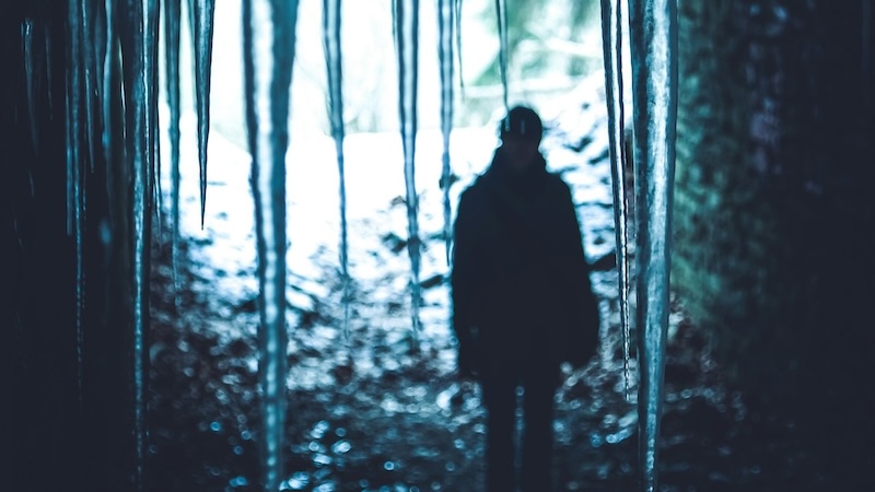 Trauma formation: how fight-flight becomes freeze-fawn