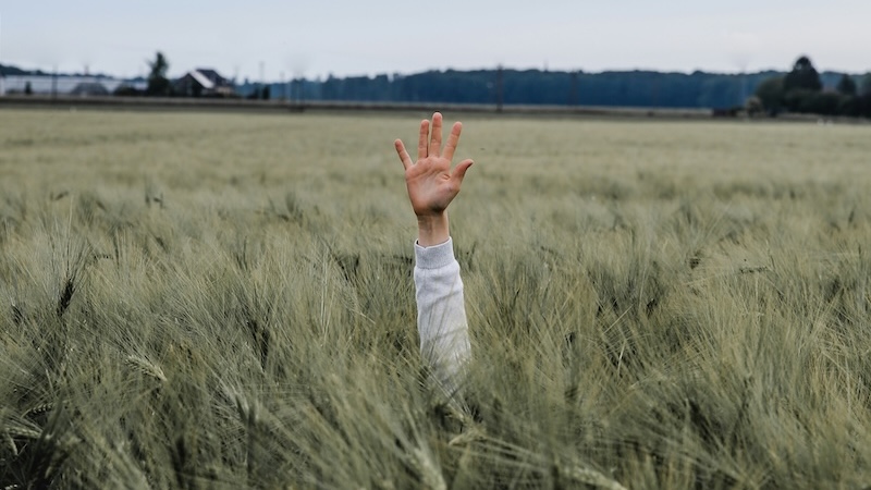 Awkward genealogy conversations: the 5 levels of pushback