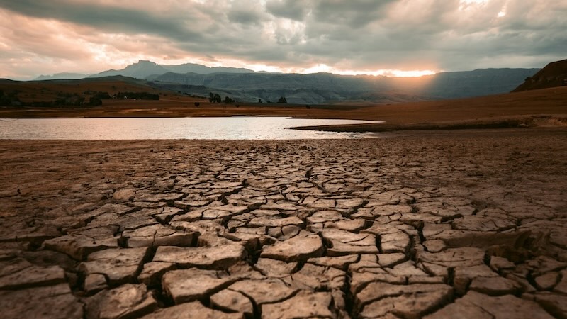 Humanity is ‘walking backwards through the Fall’